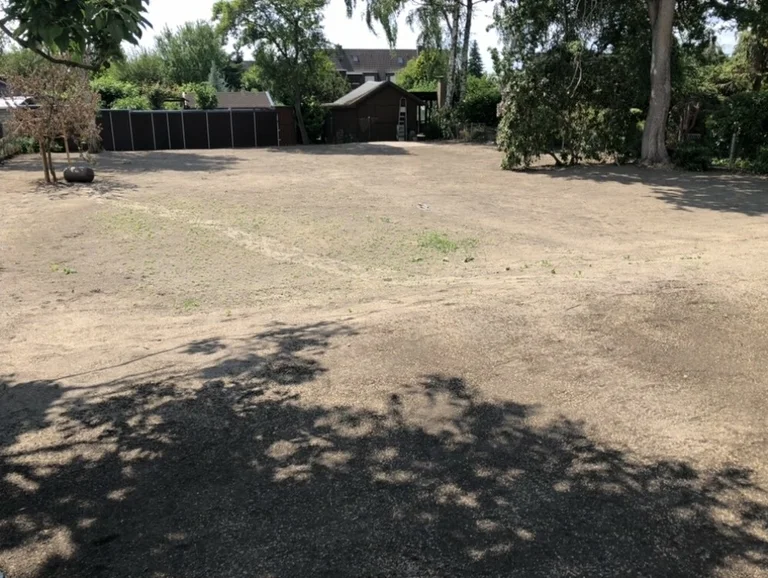 Baumschnitt galerie 1